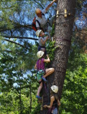 Grimpe Arbres